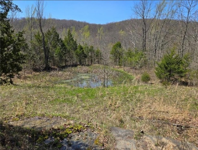 971 Madison Unit 3055, Witter, AR 72776