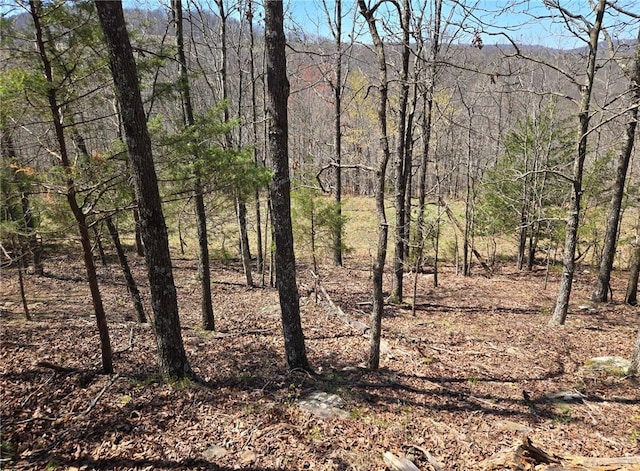971 Madison Unit 3055, Witter, AR 72776
