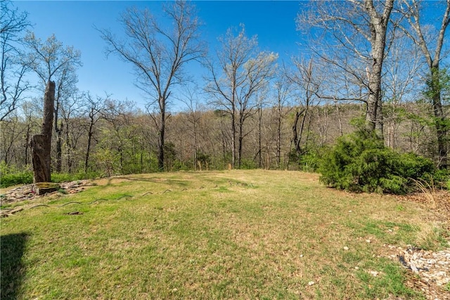 30 Strichen Dr, Bella Vista, AR 72715 - view of yard featuring a wooded view