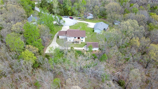 bird's eye view