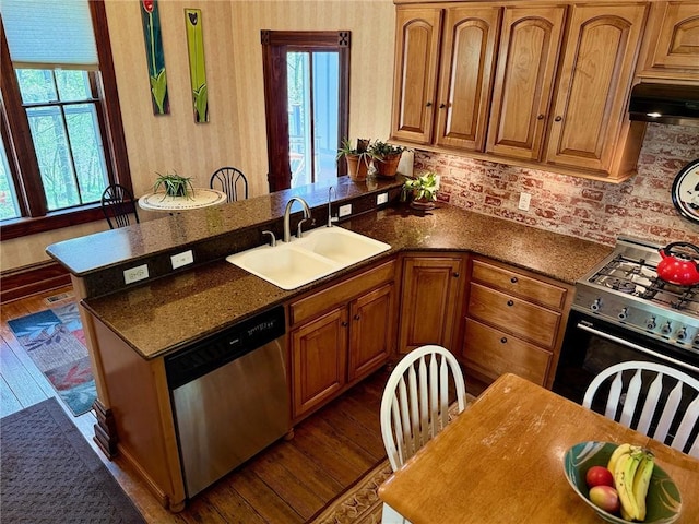 kitchen with range with gas stovetop, stainless steel dishwasher, dark wood-style flooring, and a sink