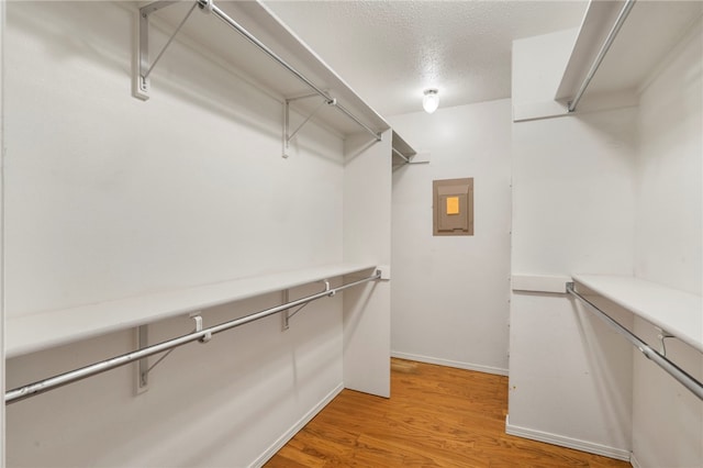 spacious closet with electric panel and light wood-style floors