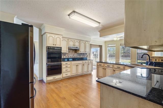 kitchen with a sink, dobule oven black, freestanding refrigerator, crown molding, and under cabinet range hood