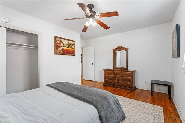9 E Trenton Blvd, Fayetteville, AR 72701 - photo 22