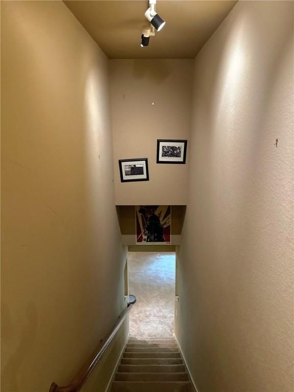 1 Binham Ln, Bella Vista, AR 72715 - stairs with carpet floors