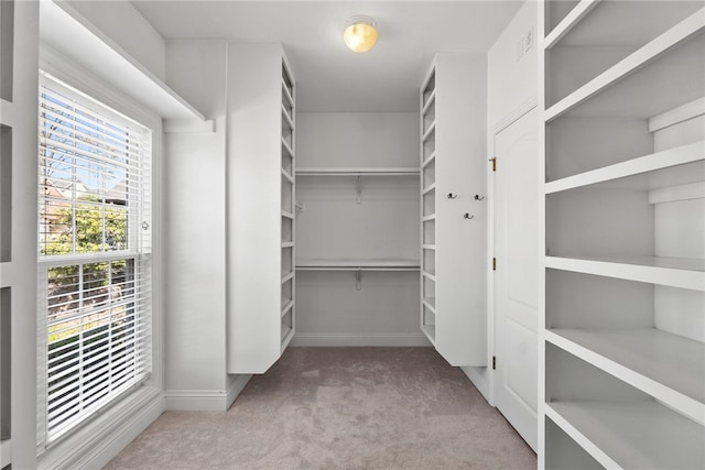 3902 NE Cadbury Ave, Bentonville, AR 72712 - spacious closet featuring carpet