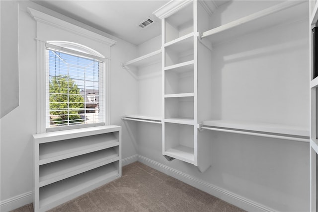 3902 NE Cadbury Ave, Bentonville, AR 72712 - walk in closet with carpet flooring