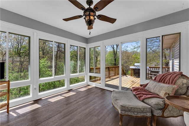 sunroom featuring a wooden deck, a ceiling fan, wood finished floors, and french doors