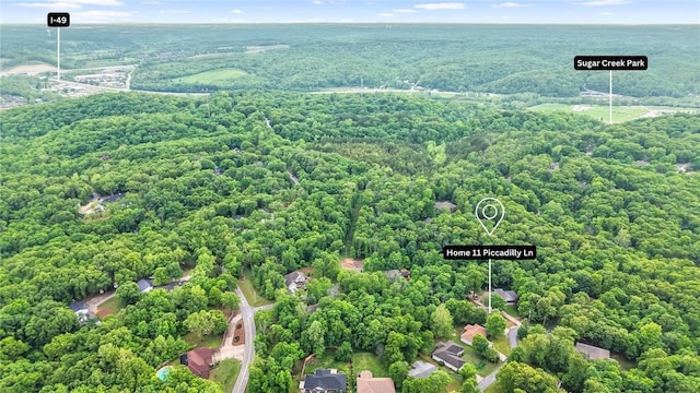 drone / aerial view of a forest