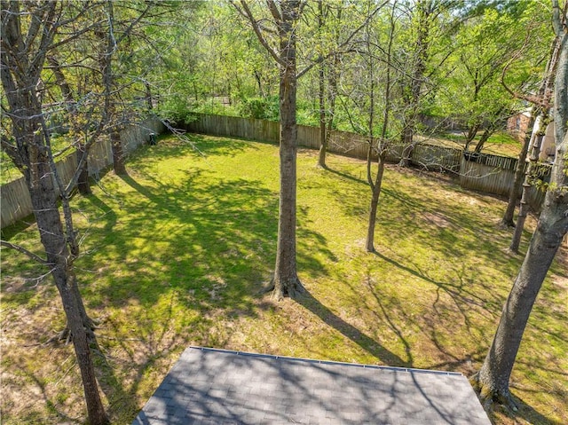 1765 Oxford Pl, Springdale, AR 72764 - view of yard