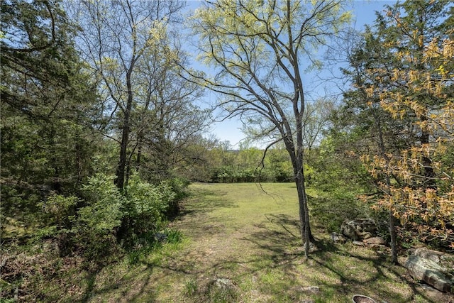 19584 Neills Bluff Rd, Springdale, AR 72764 - view of green lawn with a view of trees