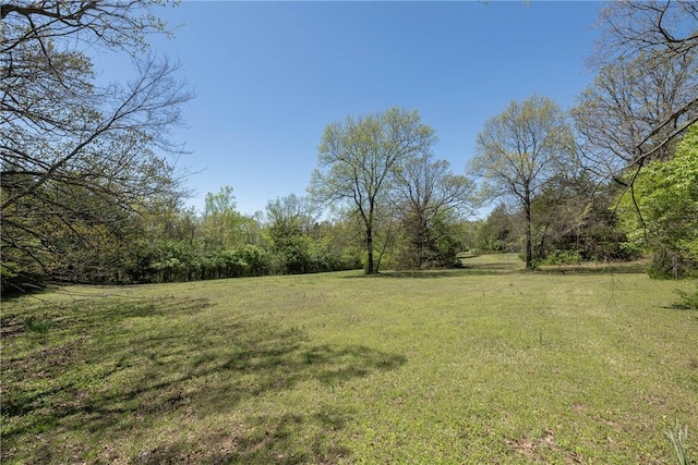 19584 Neills Bluff Rd, Springdale, AR 72764 - view of green lawn with a forest view