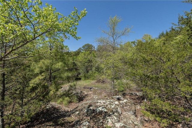 19584 Neills Bluff Rd, Springdale, AR 72764 - view of tree filled area