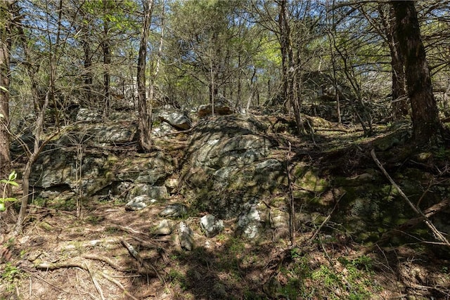 19584 Neills Bluff Rd, Springdale, AR 72764 - view of nature