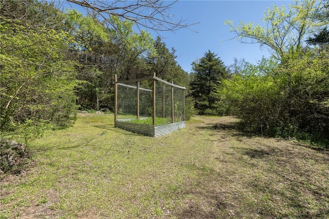 19584 Neills Bluff Rd, Springdale, AR 72764 - view of green lawn with a vegetable garden and a wooded view