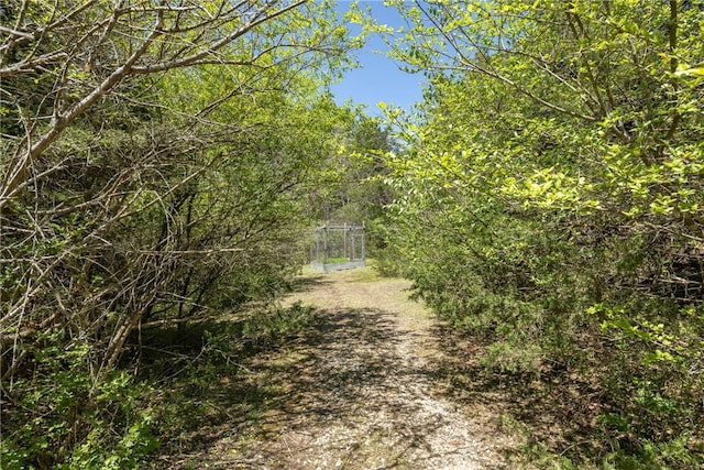 19584 Neills Bluff Rd, Springdale, AR 72764 - view of road