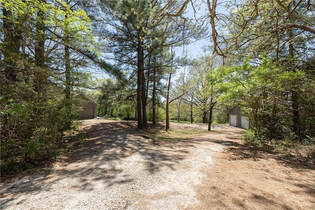 19584 Neills Bluff Rd, Springdale, AR 72764 - view of dirt / gravel driveway