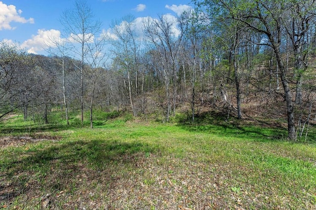 000 Paradise Ln, Pineville, MO 64856