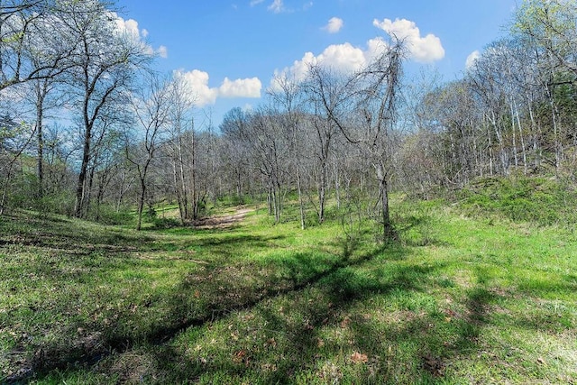 000 Paradise Ln, Pineville, MO 64856