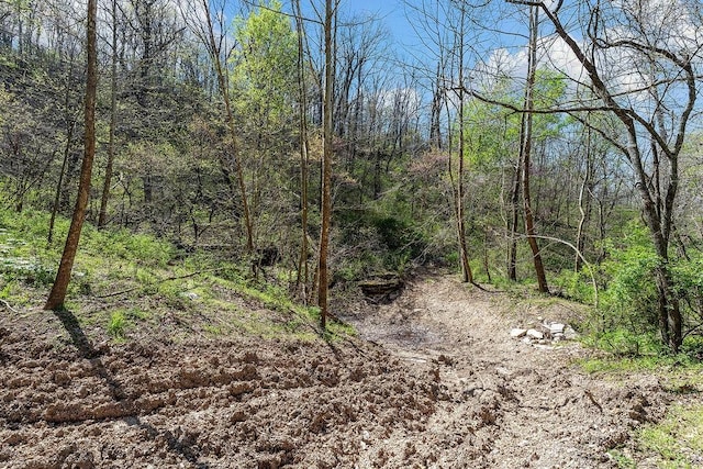 000 Paradise Ln, Pineville, MO 64856