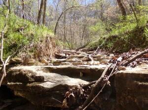 000 Paradise Ln, Pineville, MO 64856