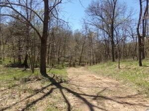 000 Paradise Ln, Pineville, MO 64856