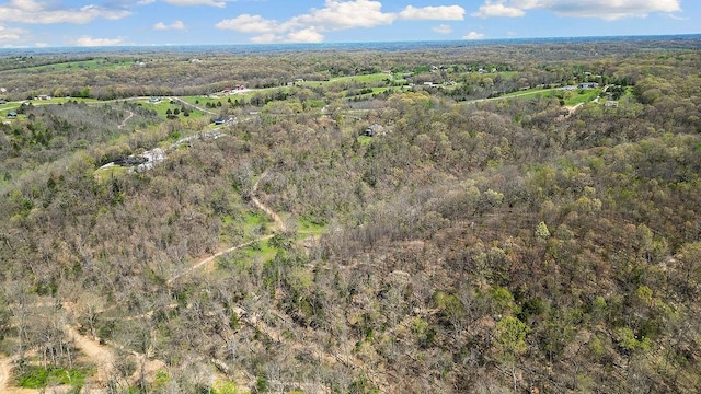 000 Paradise Ln, Pineville, MO 64856