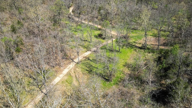 000 Paradise Ln, Pineville, MO 64856