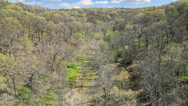 000 Paradise Ln, Pineville, MO 64856