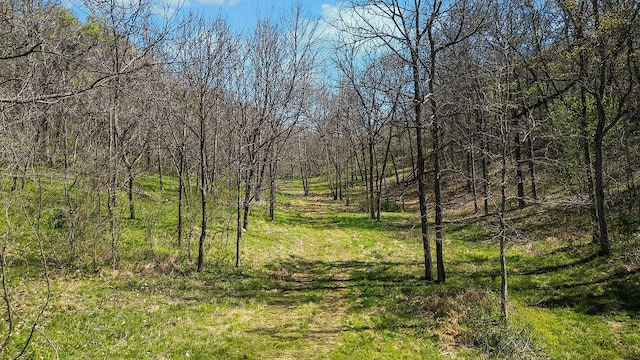 000 Paradise Ln, Pineville, MO 64856