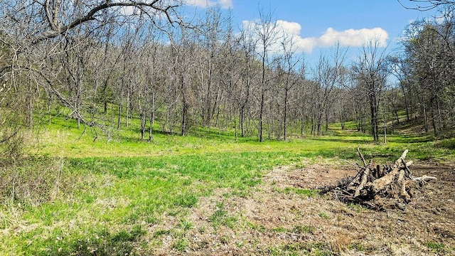 000 Paradise Ln, Pineville, MO 64856