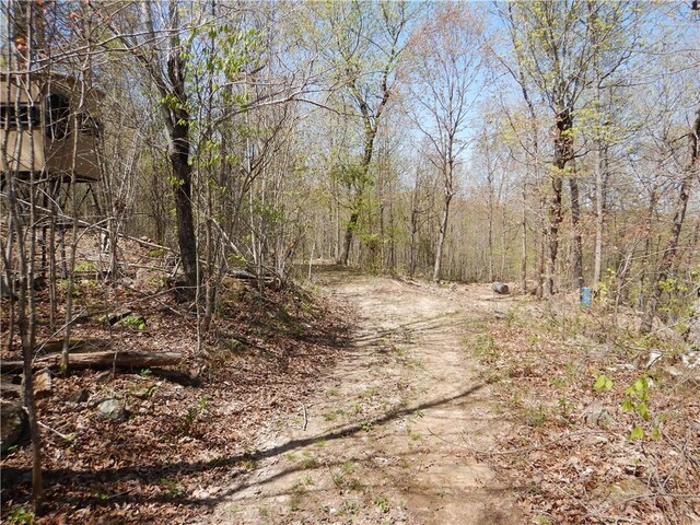TBD Madison 3625, Kingston, AR 72742 - photo 16