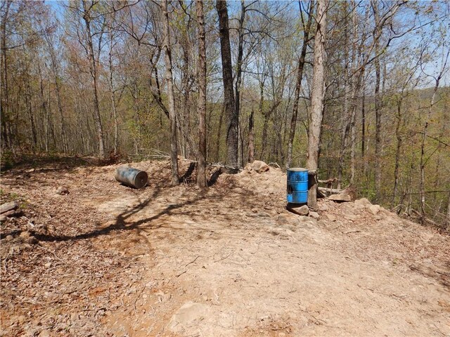TBD Madison 3625, Kingston, AR 72742 - photo 17