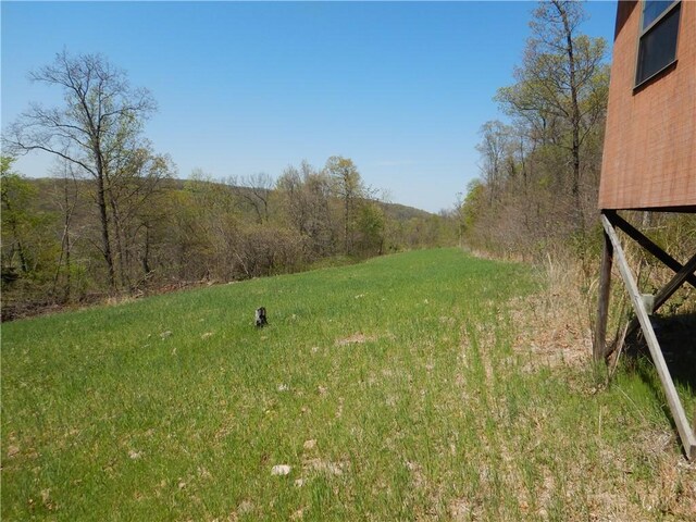 TBD Madison 3625, Kingston, AR 72742 - photo 5