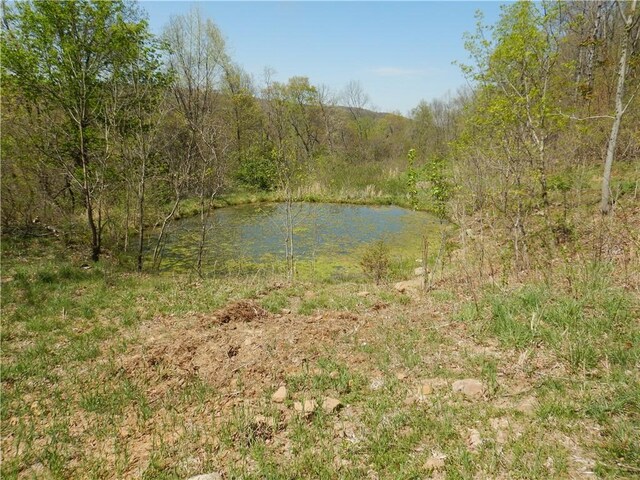 TBD Madison 3625, Kingston, AR 72742 - photo 10