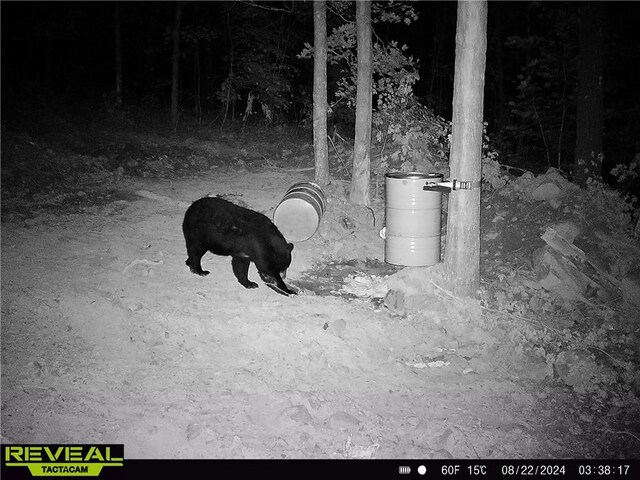 TBD Madison 3625, Kingston, AR 72742 - photo 39