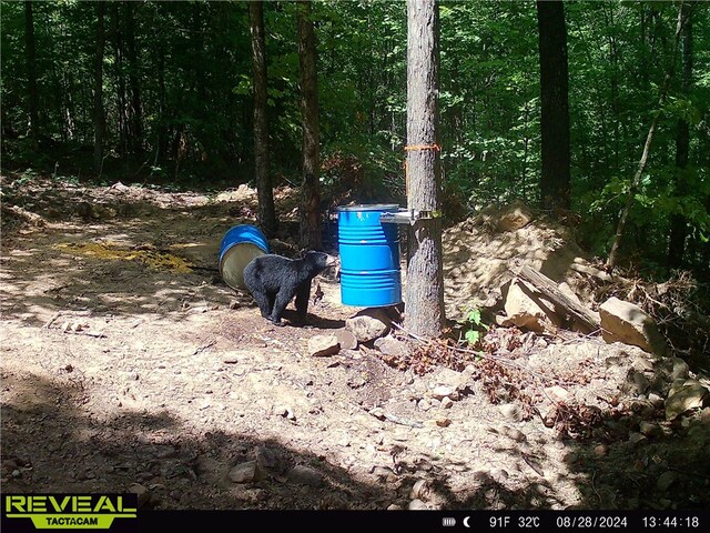 TBD Madison 3625, Kingston, AR 72742 - photo 40