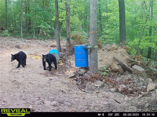 TBD Madison 3625, Kingston, AR 72742 - photo 41