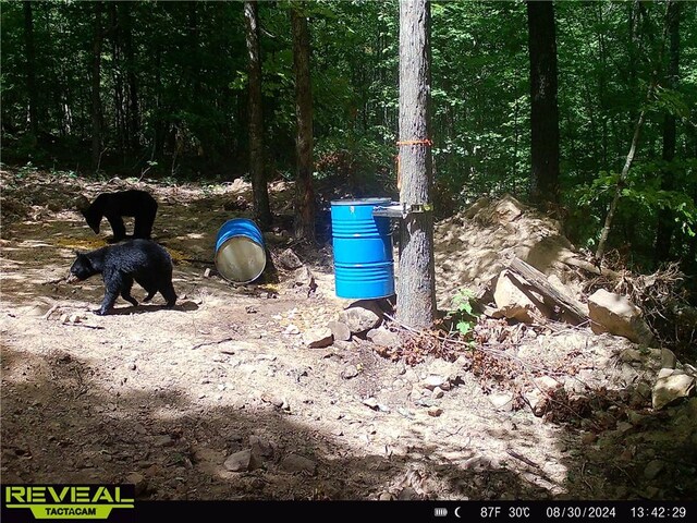 TBD Madison 3625, Kingston, AR 72742 - photo 48