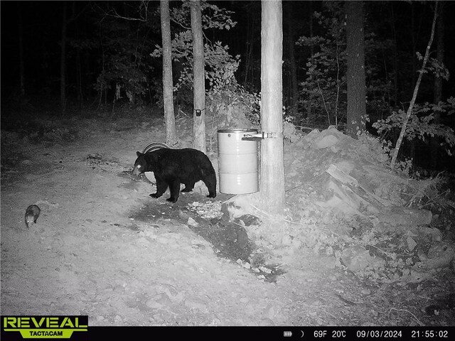 TBD Madison 3625, Kingston, AR 72742 - photo 49