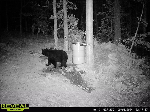TBD Madison 3625, Kingston, AR 72742 - photo 51