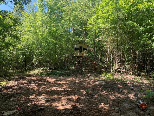 TBD Madison 3625, Kingston, AR 72742 - photo 18