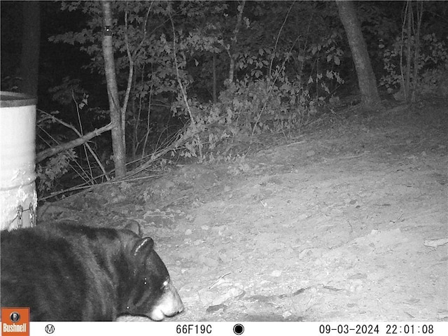 TBD Madison 3625, Kingston, AR 72742 - photo 27