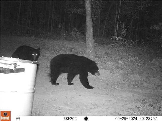 TBD Madison 3625, Kingston, AR 72742 - photo 28