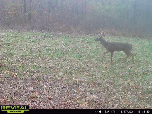 TBD Madison 3625, Kingston, AR 72742 - photo 33