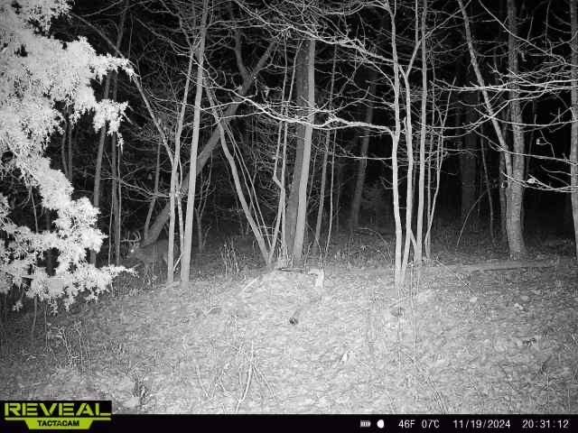 TBD Madison 3625, Kingston, AR 72742 - photo 34
