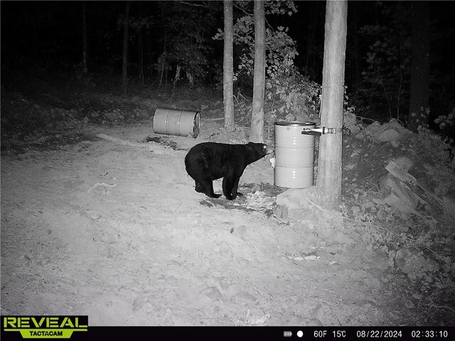 TBD Madison 3625, Kingston, AR 72742 - photo 38