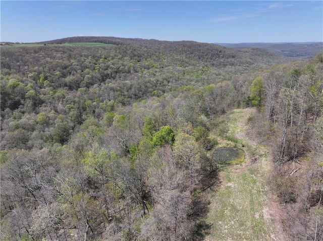 TBD Madison 3625, Kingston, AR 72742 - photo 4
