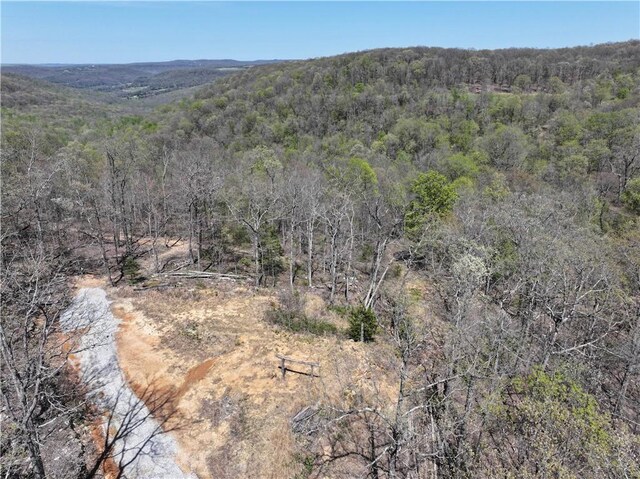 TBD Madison 3625, Kingston, AR 72742 - photo 11