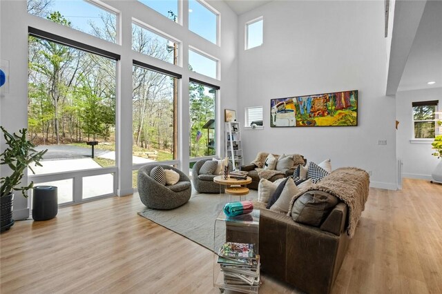 4 Shap Ln, Bella Vista, AR 72714 - living room featuring light wood-style floors, healthy amount of natural light, and a high ceiling